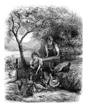 Hens and girls, vintage engraving. photo