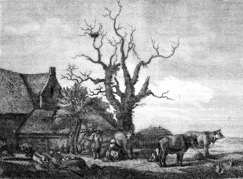 A Farm, Van de Velde, drawing after that of Van de Velde at the British Museum, vintage engraving. photo