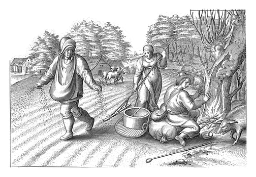 Sowing in the fields, vintage illustration. photo