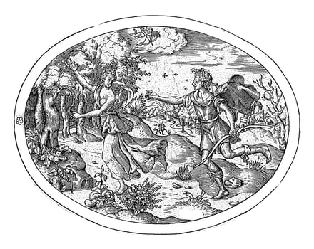 Apollo Pursuing Daphne photo
