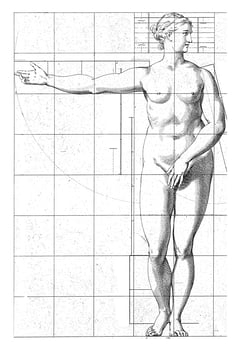 Proportion study of a woman's body photo