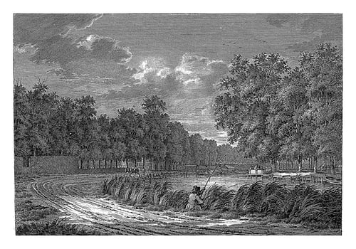 Landscape with a Fisherman on the Bank of the Gein, Jan Evert Grave, 1769 - 1805 photo