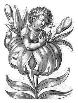 John the Baptist emerging from a lily, Wierix possibly, 1550 - 1650 photo