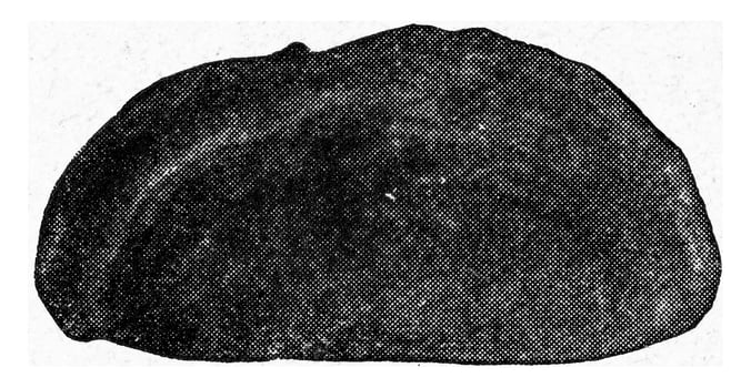 Lid from the outside, vintage engraving. photo