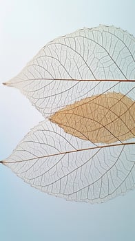 AI generated Skeleton Leaves in Isolated Elegance photo