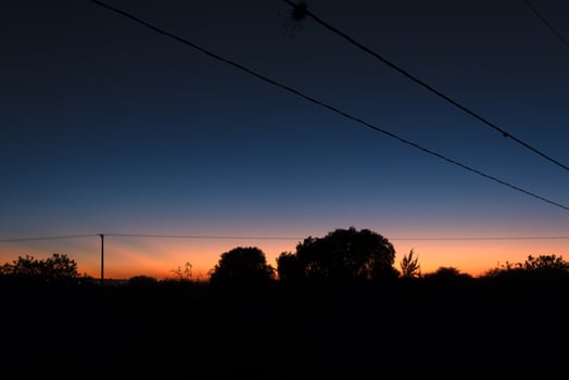 Beautiful sunset with shade of trees and electricity cables. photo