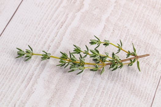 Aroma seasoning thyme stem with leaves photo