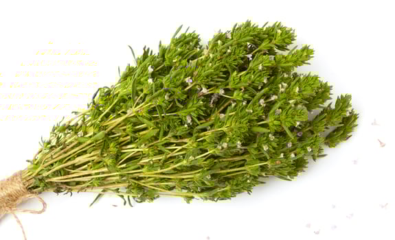 bunch of thyme twigs isolated on white background photo