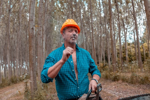 lumberjack in action at work in a forest photo