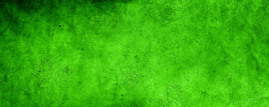 Green textured wall photo