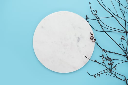 Marble podium with branch on blue background photo