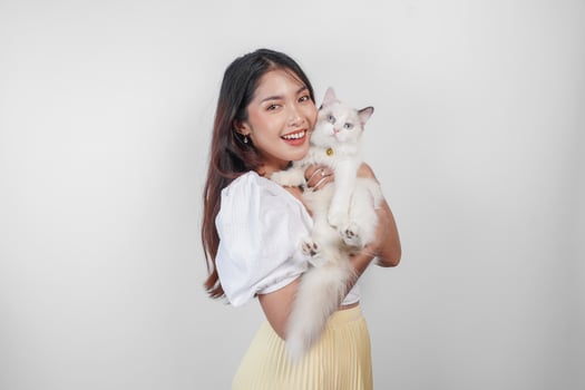 Portrait of young Asian woman holding cute ragdoll cat with blue eyes. Female hugging her cute long hair kitty isolated by white background. Adorable domestic pet concept. photo