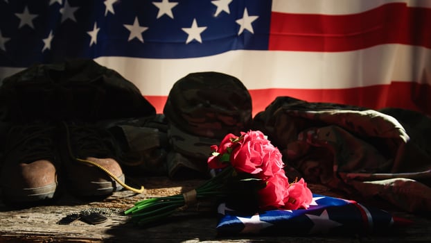 Red roses for veteran's day photo