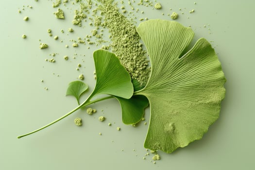 AI generated Maidenhair, ginkgo biloba leaves and pile powder for brain, memory. Healing plant Chinese medicine photo