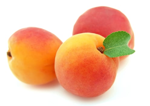 Three apricots on white backgrounds photo
