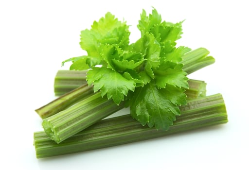Celery on white backgrounds photo