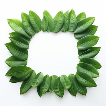 AI generated Wholesome frame Green plumeria leaf border isolated on white background For Social Media Post Size photo