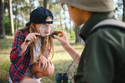 kids scouts in the forest. photo