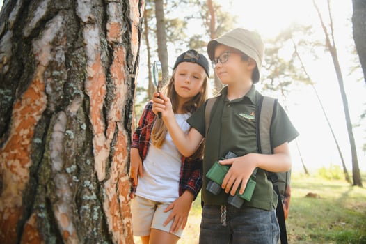 kids scouts in the forest. photo