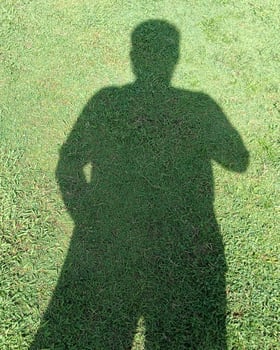 green grass field photo