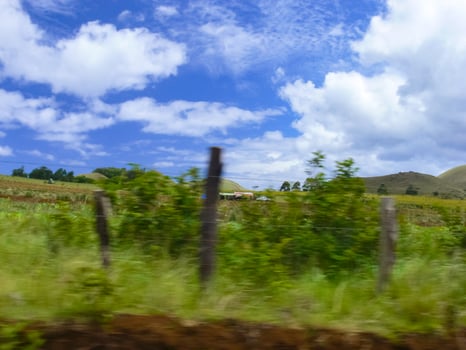 nature of Easter Island, landscape, vegetation and coast. photo