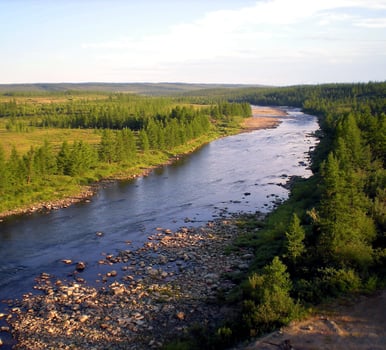 River in taiga in northern Russia. The nature of the taiga in a mountainous area. photo
