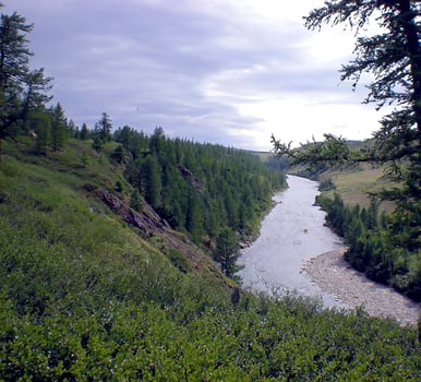 River in taiga in northern Russia. The nature of the taiga in a mountainous area. photo