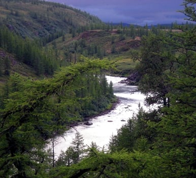 River in taiga in northern Russia. The nature of the taiga in a mountainous area. photo