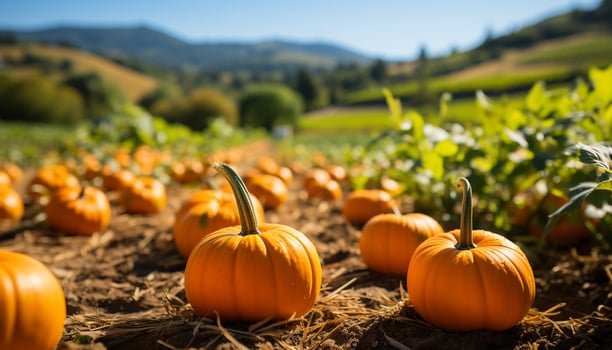 AI generated Fresh autumn vegetables decorate the rural farm in October generated by AI photo