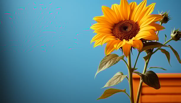 AI generated Bright yellow sunflower in a meadow, a symbol of summer generated by AI photo