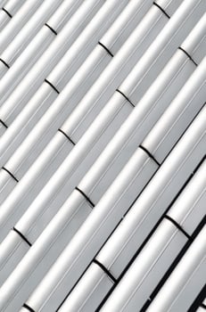 portrait shot of linear structures photo