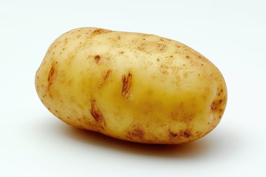 AI generated Close-up a single potato on a white background, highlighting its texture and details. photo