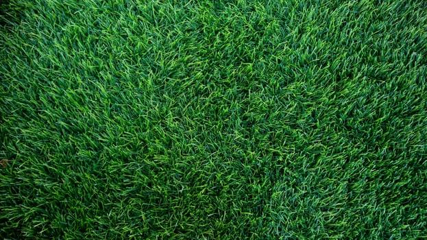 Green grass background texture. Soccer field synthetic turf. photo