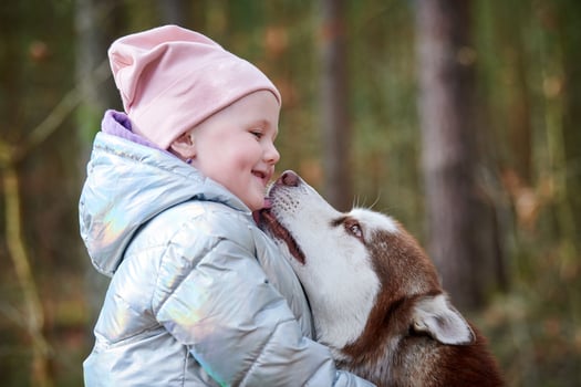 Cute little girl in pink hat and light blue jacket hugs Siberian Husky dog and smiling photo