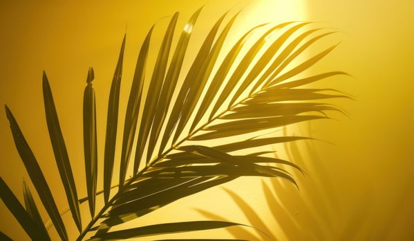 AI generated palm leaf silhouette on a yellow background photo