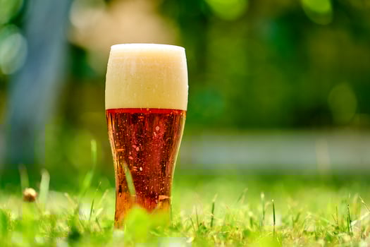 Glass of cold fresh beer. Beer in garden and summer day photo
