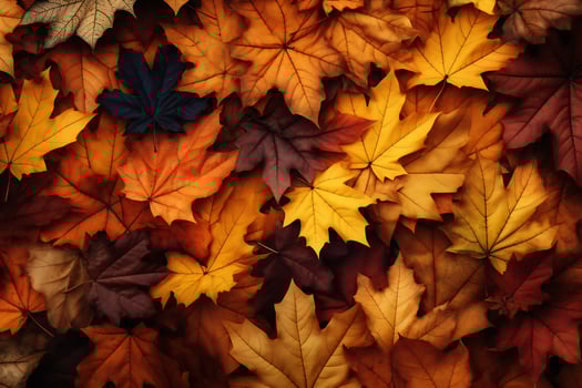 Autumn Leaves Background with Vibrant Fall Colors A Stunning Seasonal Palette of Red, Orange, and Yellow Foliage for Nature-Inspired Design and Photography photo