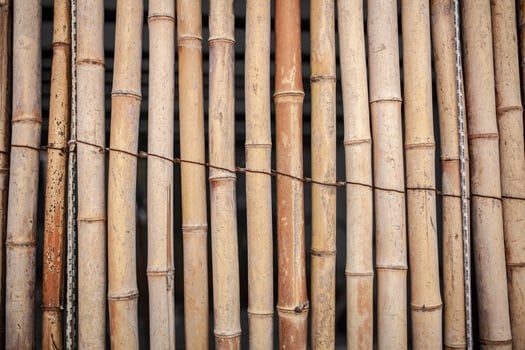 Dry Bamboo Wall tied with rope Texture Background,Bamboo fence background,Bamboo stick pattern photo