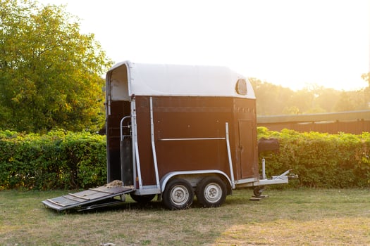 Horse trailer. vehicle for horse transportation Travel with animals photo