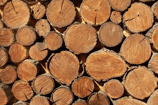 wood round timber background close up. wooden pattern photo