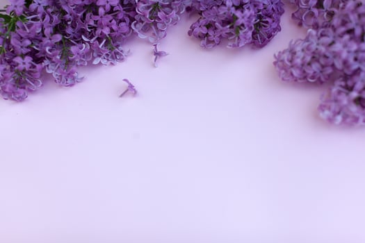 Beautiful floral border with lilacs. With copy-space. photo