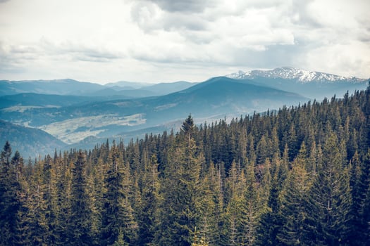 landscape in the mountains Carpathians Ukraine Autumn season photo