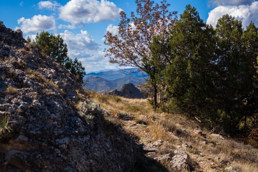 beautiful view of the mountains through the trees photo