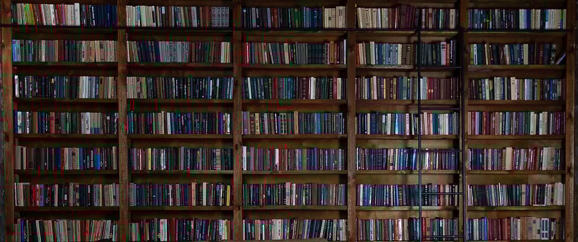 Bookshelves in the library. Large bookcase with lots of books. Reading books. Library or shop with bookcases. Cozy book background. Bookish, bookstore, bookshop. photo