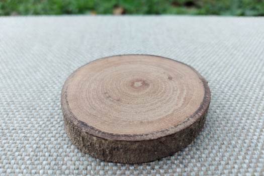 Wooden cross section of a tree trunk on a background of green grass photo