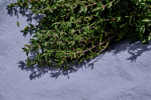 Fresh green thyme on a blue fabric background. photo