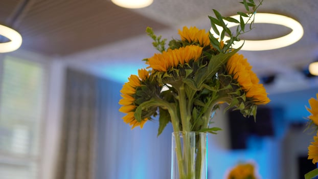 wedding table. Beautiful decor on the tables sunflowers photo