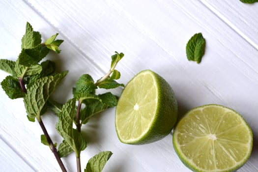Lime and mint on the white wooden background. photo