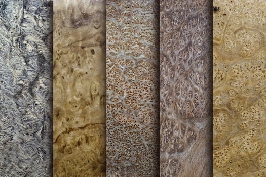 Natural Burma TABAG burl wood striped is a wooden beautiful pattern for background photo