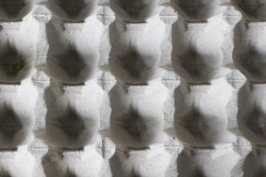 Top view of egg tray texture and background. photo